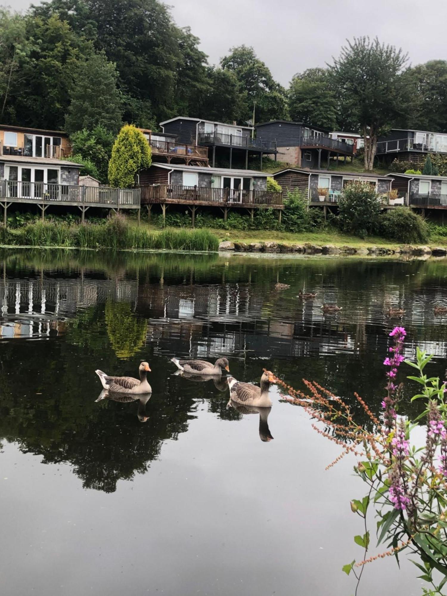 Chalet 64, Lakeside, Glan Gwna Holiday Park カーナーヴォン エクステリア 写真